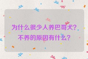 为什么很少人养巴哥犬？不养的原因有什么？