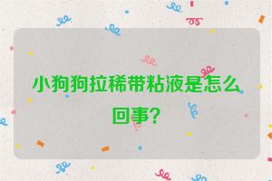 小狗狗拉稀带粘液是怎么回事?