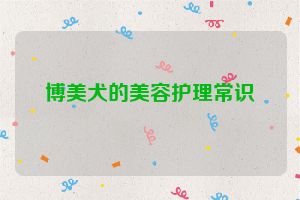 博美犬的美容护理常识