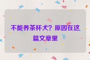 不能养茶杯犬？原因在这篇文章里