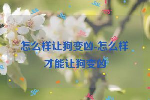 怎么样让狗变凶-怎么样才能让狗变凶
