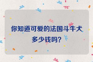 你知道可爱的法国斗牛犬多少钱吗？