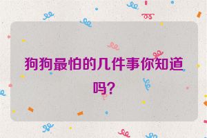 狗狗最怕的几件事你知道吗？