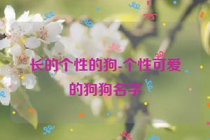 长的个性的狗-个性可爱的狗狗名字