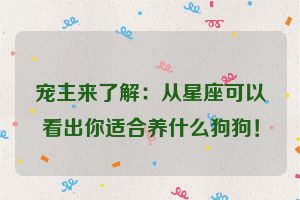 宠主来了解：从星座可以看出你适合养什么狗狗！