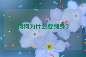 狗狗为什么要翻身？