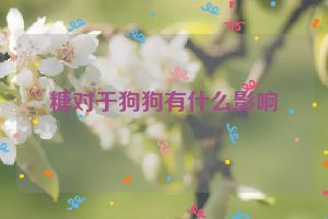 糖对于狗狗有什么影响