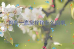 狗狗一直挠痒痒怎么回事