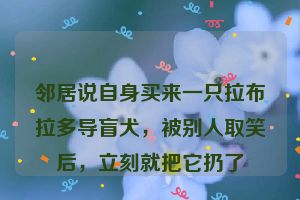 邻居说自身买来一只拉布拉多导盲犬，被别人取笑后，立刻就把它扔了