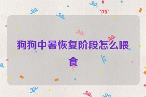 狗狗中暑恢复阶段怎么喂食