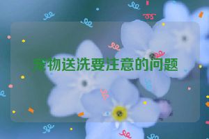 宠物送洗要注意的问题