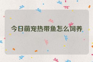 今日萌宠热带鱼怎么饲养