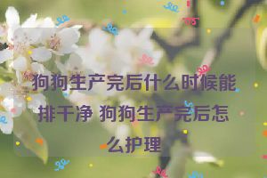 狗狗生产完后什么时候能排干净 狗狗生产完后怎么护理