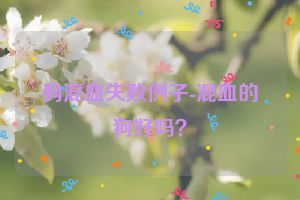 狗混血失败例子-混血的狗好吗？