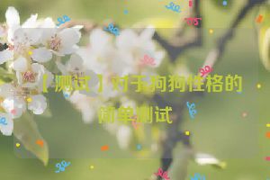 【测试】对于狗狗性格的简单测试