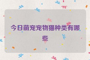 今日萌宠宠物猫种类有哪些