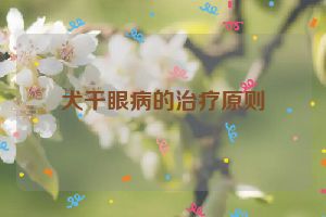 犬干眼病的治疗原则