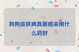 狗狗皮肤病真菌感染用什么药好