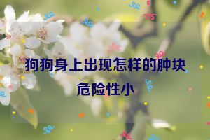 狗狗身上出现怎样的肿块危险性小