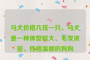 马犬价格几钱一只，马犬是一种体型较大、毛发浓密、性格温顺的狗狗