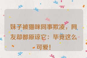 妹子被猫咪同事欺凌，网友却都原谅它：毕竟这么可爱！