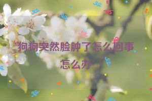 狗狗突然脸肿了怎么回事怎么办