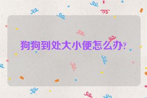 狗狗到处大小便怎么办?