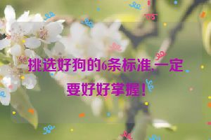 挑选好狗的6条标准,一定要好好掌握！