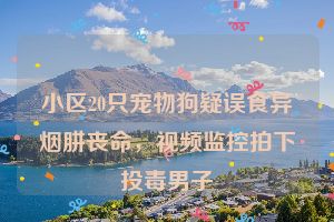 小区20只宠物狗疑误食异烟肼丧命，视频监控拍下投毒男子