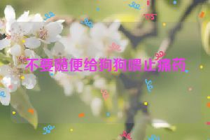 不要随便给狗狗喂止痛药