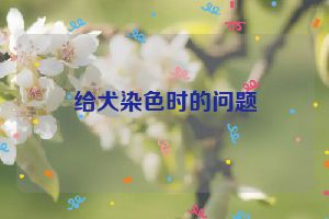 给犬染色时的问题