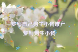 梦到自己狗生小狗难产-梦到狗生小狗