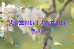 犬骨盆骨折（犬骨盆骨折手术）