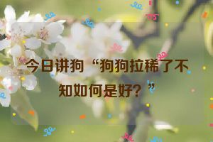 今日讲狗“狗狗拉稀了不知如何是好？”