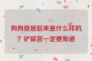 狗狗委屈起来是什么样的？铲屎官一定要知道