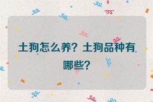 土狗怎么养？土狗品种有哪些？