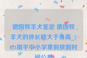 德国牧羊犬鉴定 德国牧羊犬的体长略大于身高_2021南平中小学寒假放假时间公布