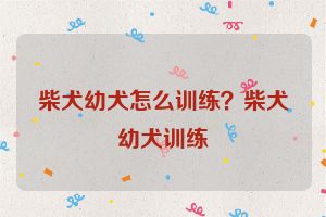 柴犬幼犬怎么训练？柴犬幼犬训练