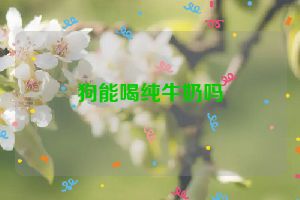 狗能喝纯牛奶吗