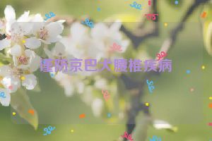 谨防京巴犬腰椎疾病