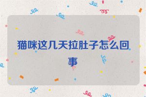 猫咪这几天拉肚子怎么回事