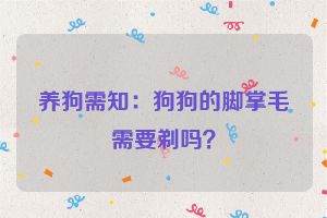 养狗需知:狗狗的脚掌毛需要剃吗?