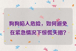 狗狗陷入危险，如何避免在紧急情况下惊慌失措？