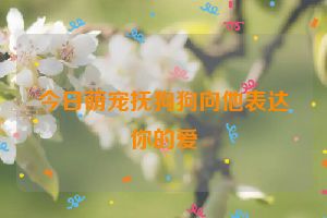今日萌宠抚狗狗向他表达你的爱