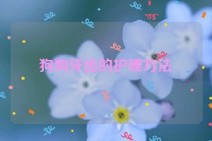 狗狗牙齿的护理方法