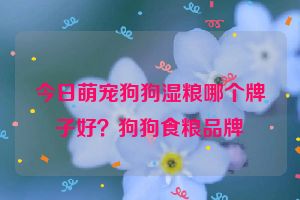 今日萌宠狗狗湿粮哪个牌子好？狗狗食粮品牌