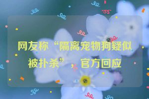 网友称“隔离宠物狗疑似被扑杀”，官方回应