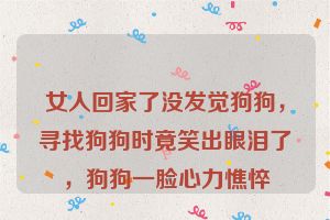 女人回家了没发觉狗狗，寻找狗狗时竟笑出眼泪了，狗狗一脸心力憔悴