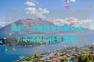 狗的一生要换多少颗牙齿？不清楚的快来看看！