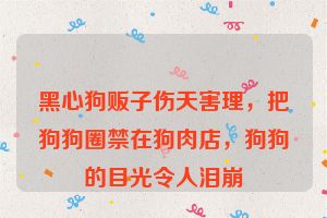 黑心狗贩子伤天害理，把狗狗圈禁在狗肉店，狗狗的目光令人泪崩